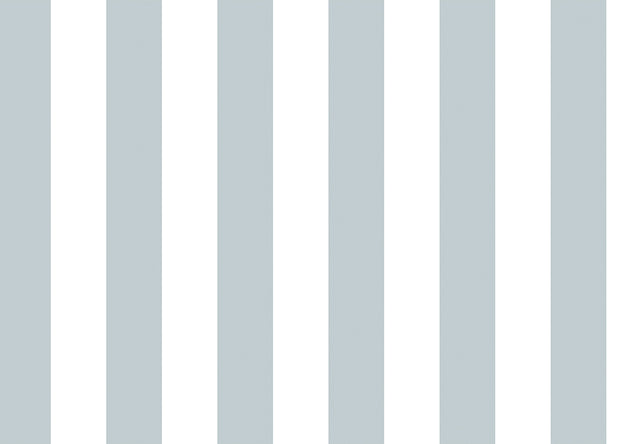 Tapeta Parato Top Stripes Riga 2 38446
