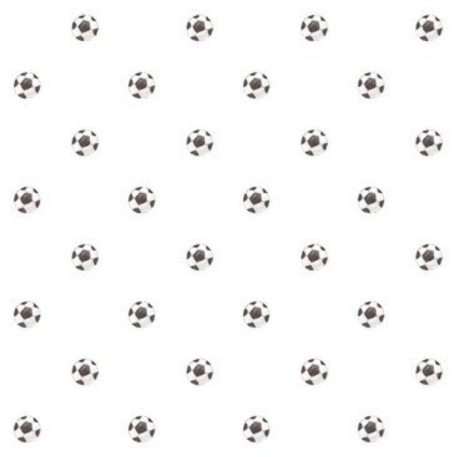 Cristiana Masi MOMI 4456 4456_goal