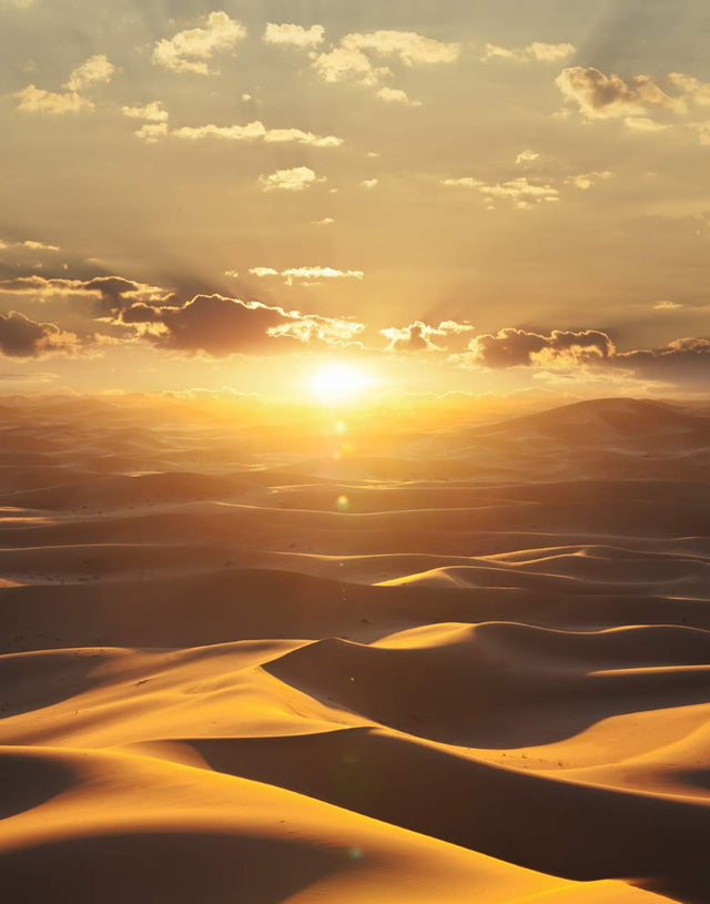 Tapeta Marburg Dune 32545