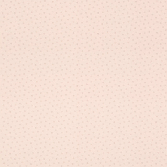 Tapeta Rasch BAMBINO XIX 253047